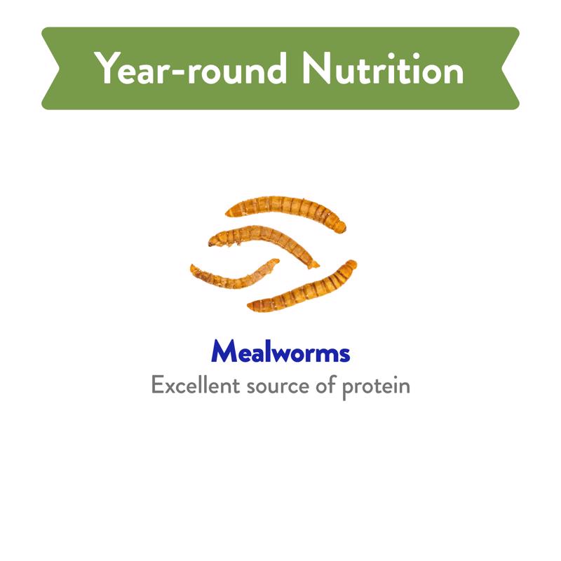 Chirp Mealworms Wild Bird Food 32 oz