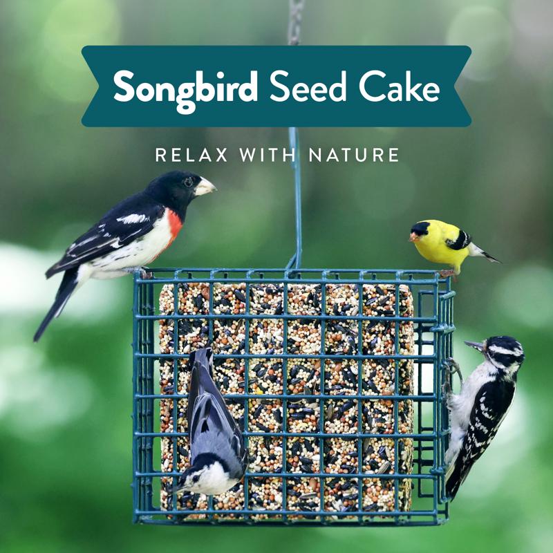 Chirp Songbird Wild Bird Seed Cake 26 oz