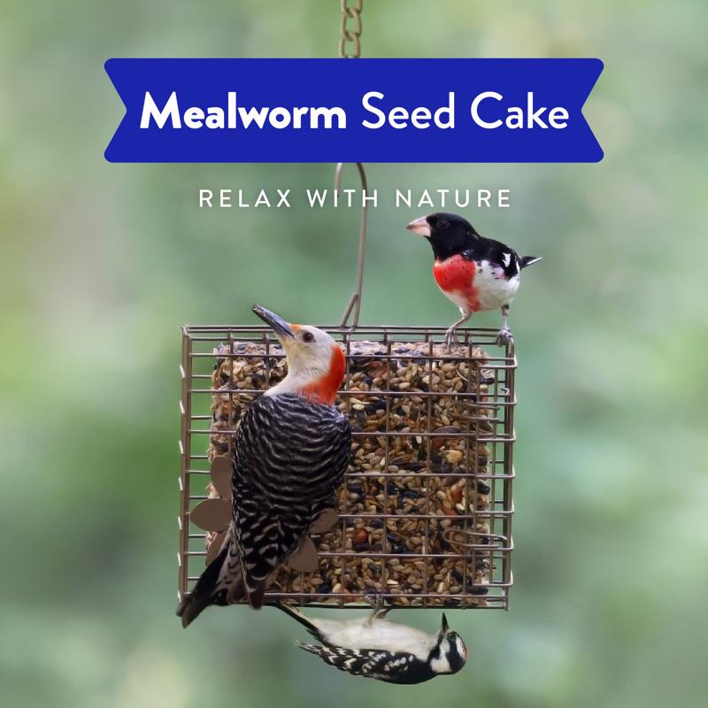 Chirp Mealworm Wild Bird Seed Cake 20 oz