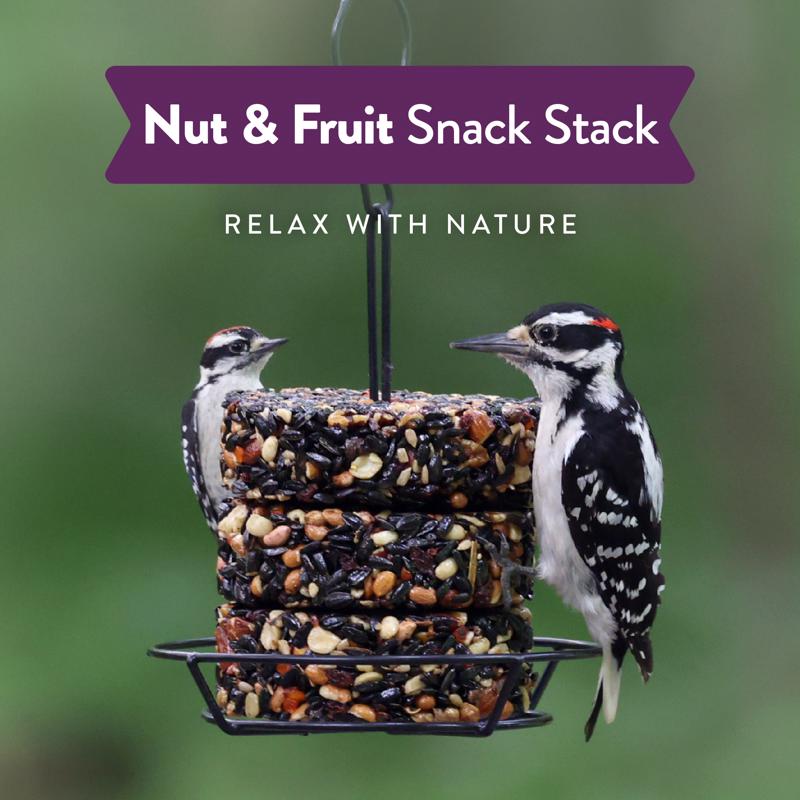 Chirp Nut and Fruit Wild Bird Seed Cake 7.5 oz