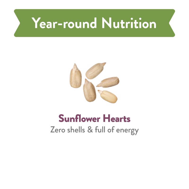 Chirp Pure Seed Sunflower Hearts Wild Bird Food 8 lb