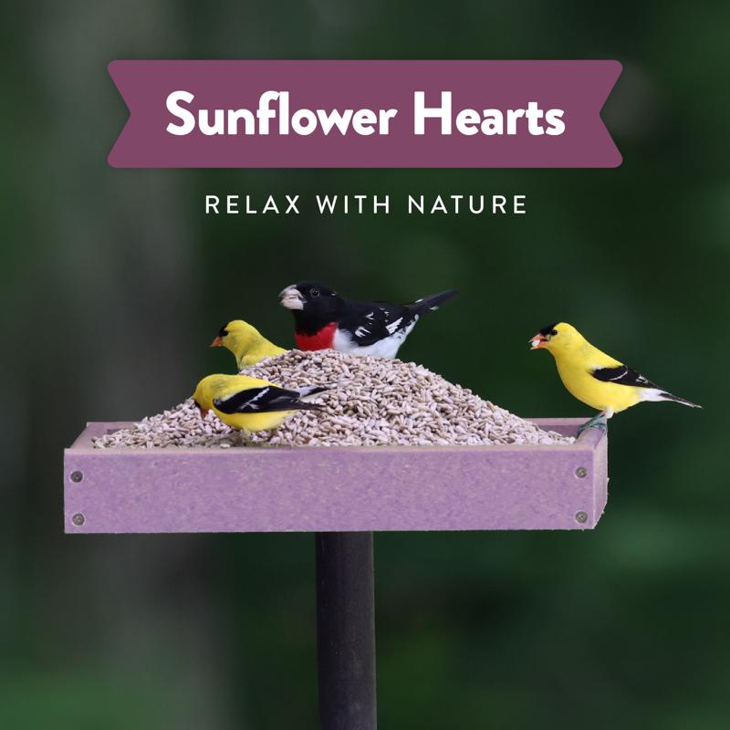 Chirp Pure Seed Sunflower Hearts Wild Bird Food 20 lb