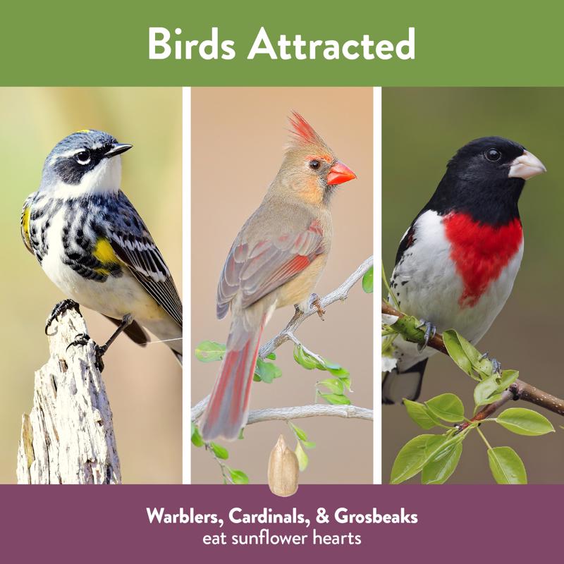 Chirp Pure Seed Sunflower Hearts Wild Bird Food 20 lb