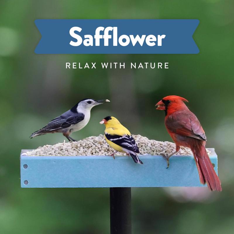 Chirp Pure Seed Safflower Wild Bird Food 7.5 lb