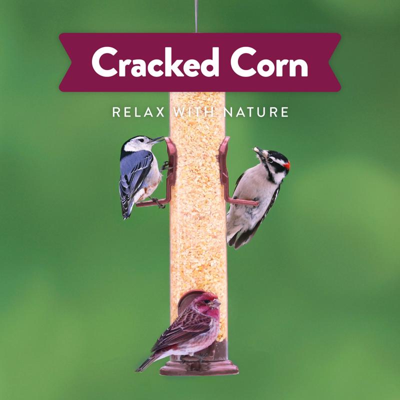 Chirp Pure Seed Cracked Corn Wild Bird Food 10 lb