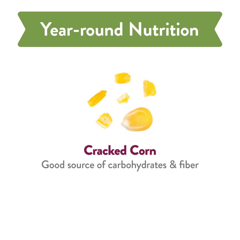 Chirp Pure Seed Cracked Corn Wild Bird Food 10 lb