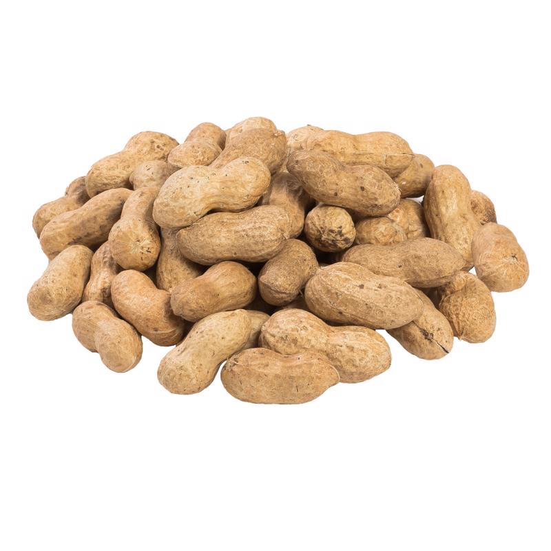 Chirp Pure Seed In-Shell Peanuts Wild Bird Food 8 lb