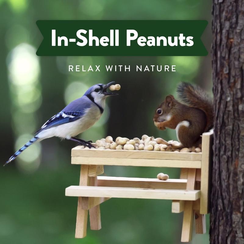 Chirp Pure Seed In-Shell Peanuts Wild Bird Food 8 lb