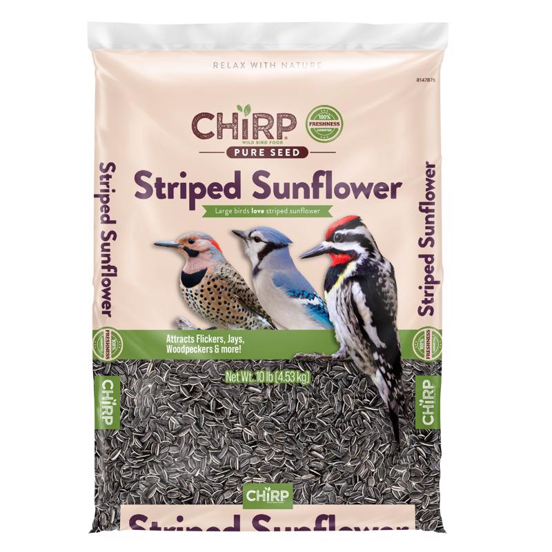 Chirp Pure Seed Striped Sunflower Seed Wild Bird Food 10 lb