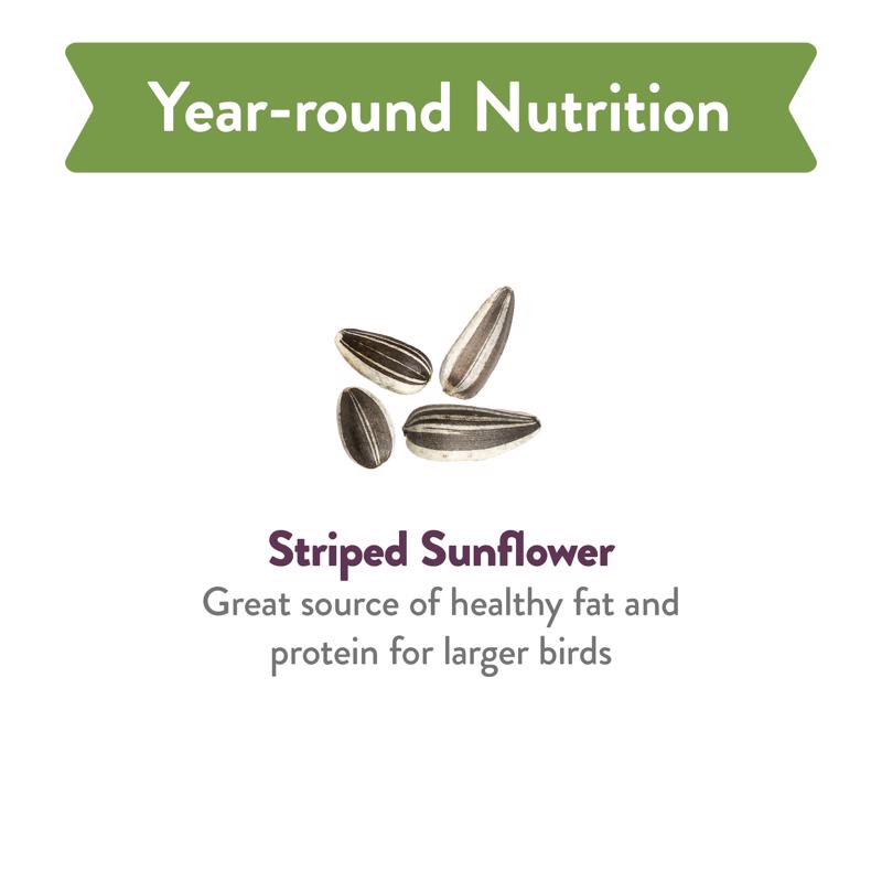 Chirp Pure Seed Striped Sunflower Seed Wild Bird Food 10 lb