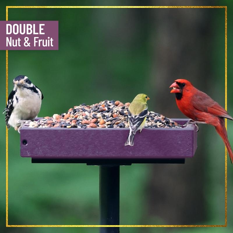Chirp Max Attract Nut and Fruit Wild Bird Food 15 lb