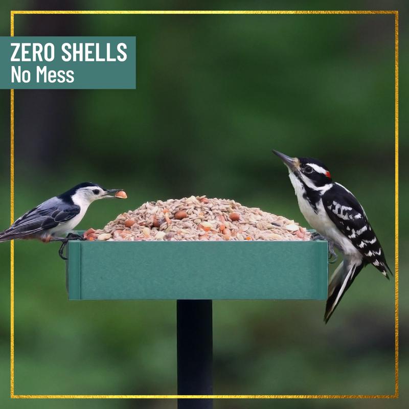 Chirp Max Attract No Mess Wild Bird Food 15 lb