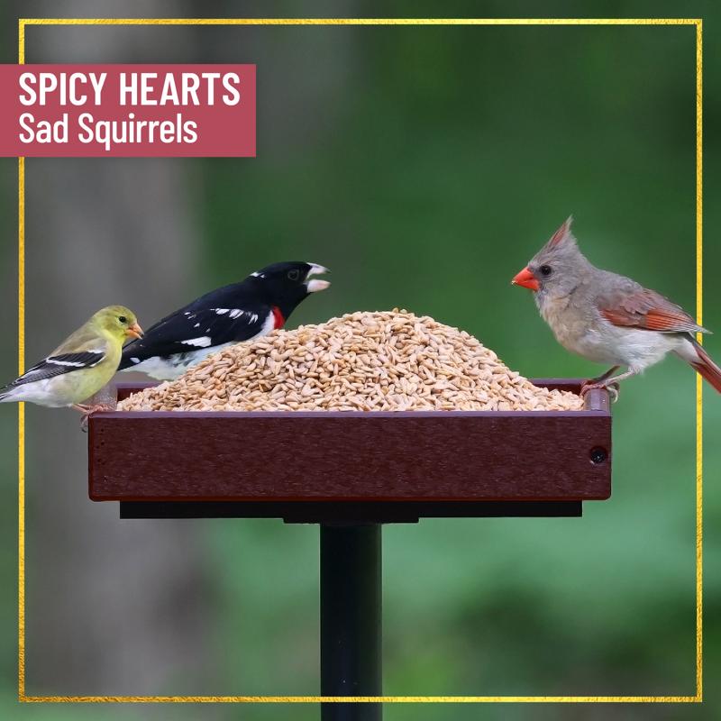Chirp Max Attract Sunflower Hearts Wild Bird Food 8.5 lb