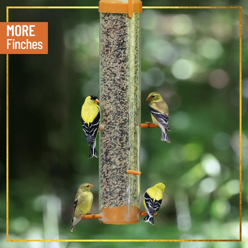 Chirp Max Attract Wild Finch Wild Bird Food 8 lb