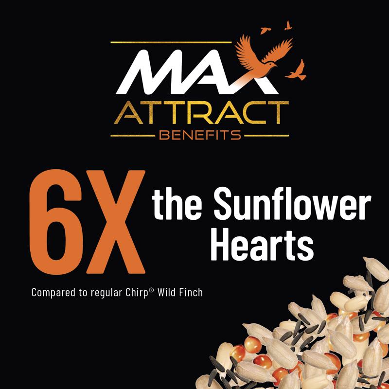 Chirp Max Attract Wild Finch Wild Bird Food 8 lb
