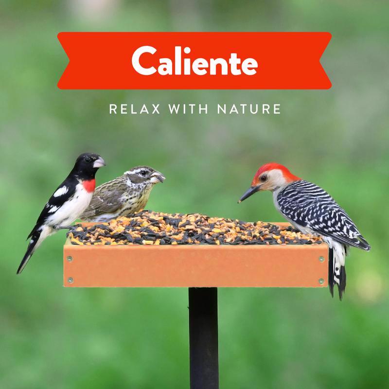 Chirp Caliente Wild Bird Food 15 lb