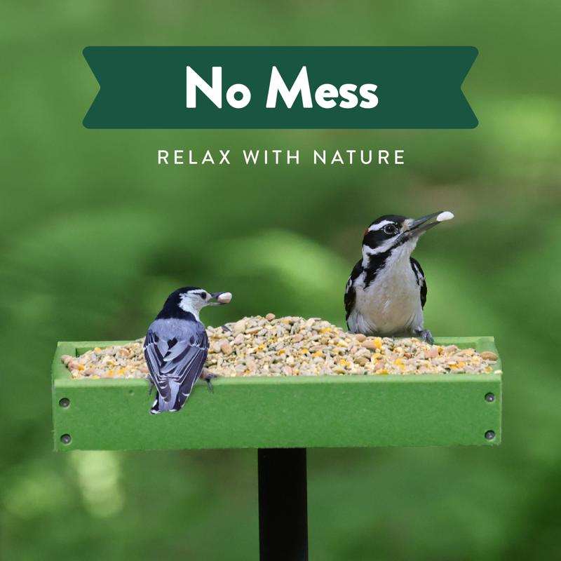 Chirp No Mess Wild Bird Food 18 lb