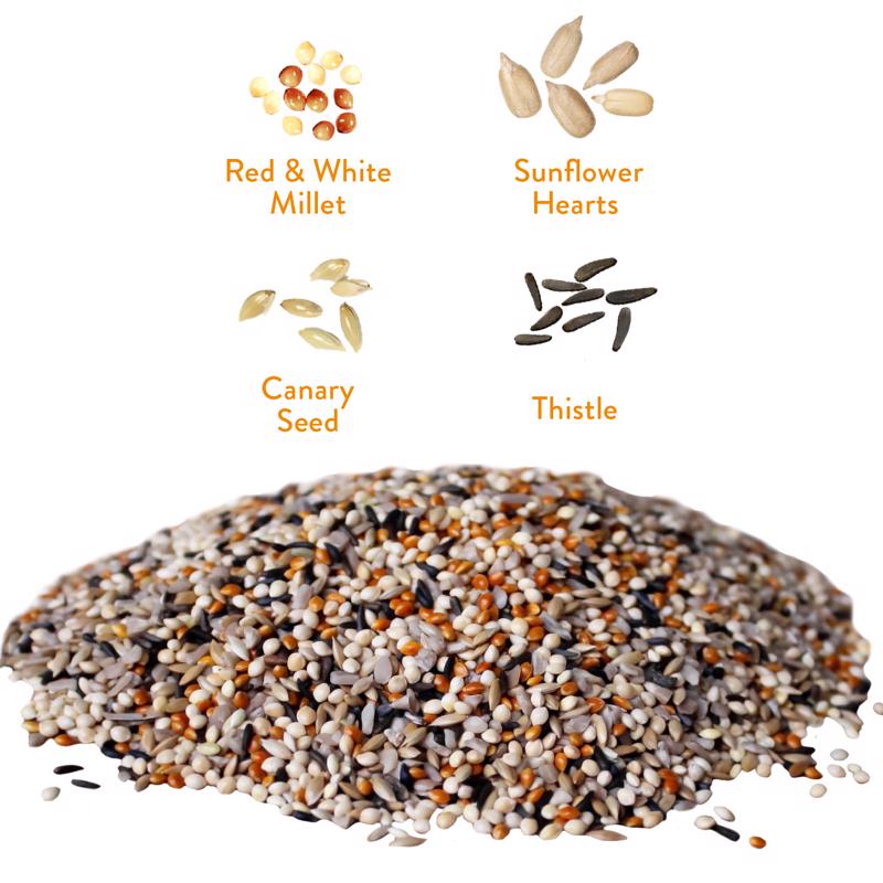 Chirp Wild Finch Wild Bird Food 9 lb