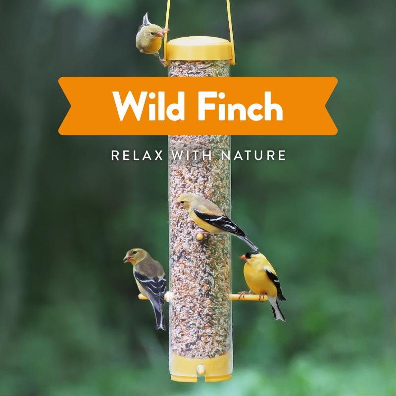 Chirp Wild Finch Wild Bird Food 9 lb