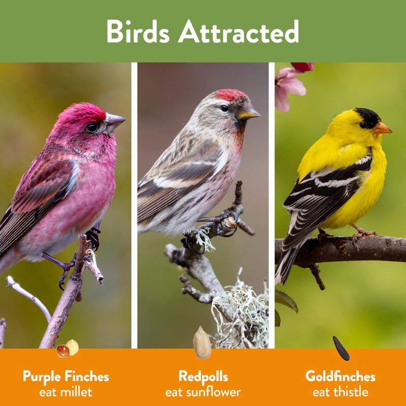 Chirp Wild Finch Wild Bird Food 9 lb