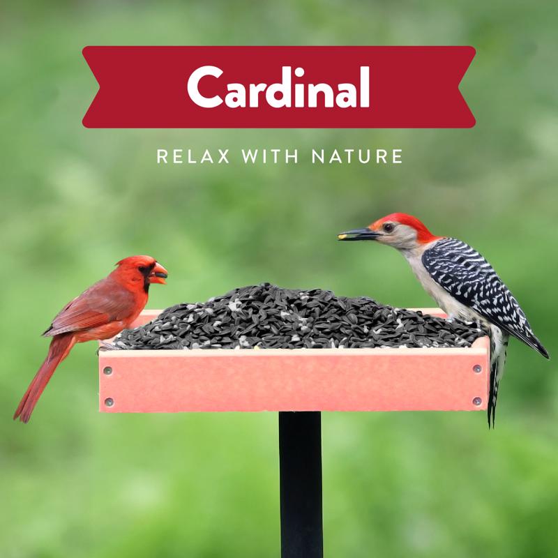 Chirp Cardinal Wild Bird Food 15 lb