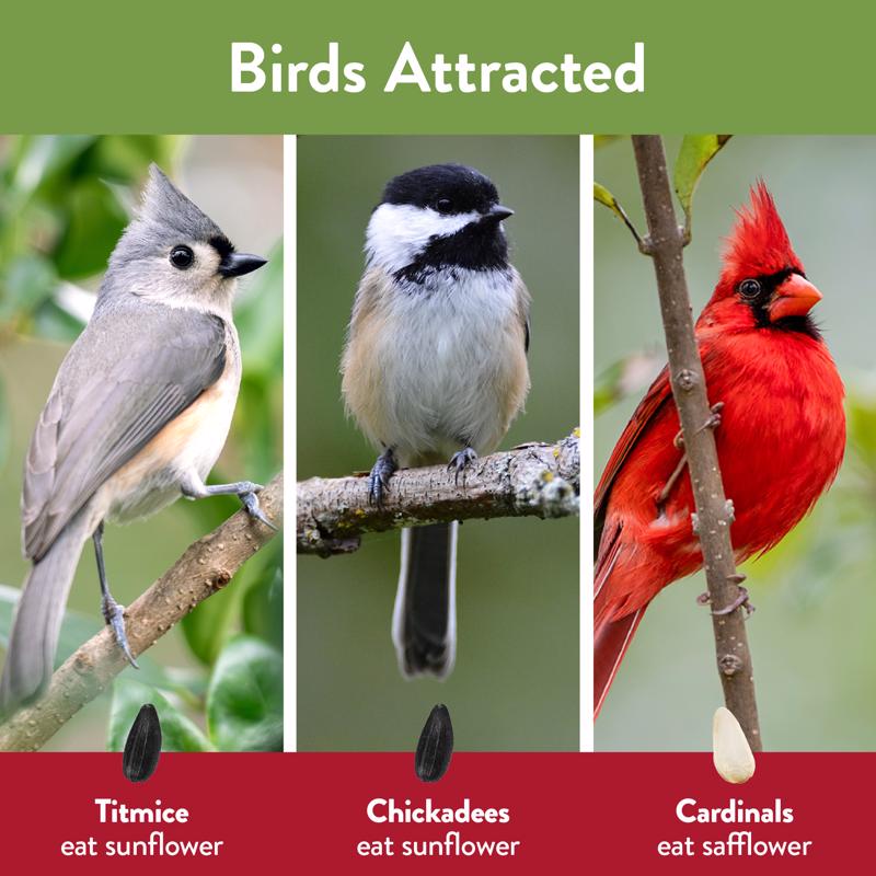 Chirp Cardinal Wild Bird Food 15 lb