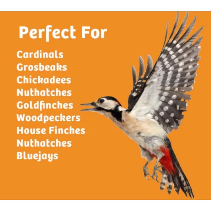 Birds Choice Bird Seed 2 lb