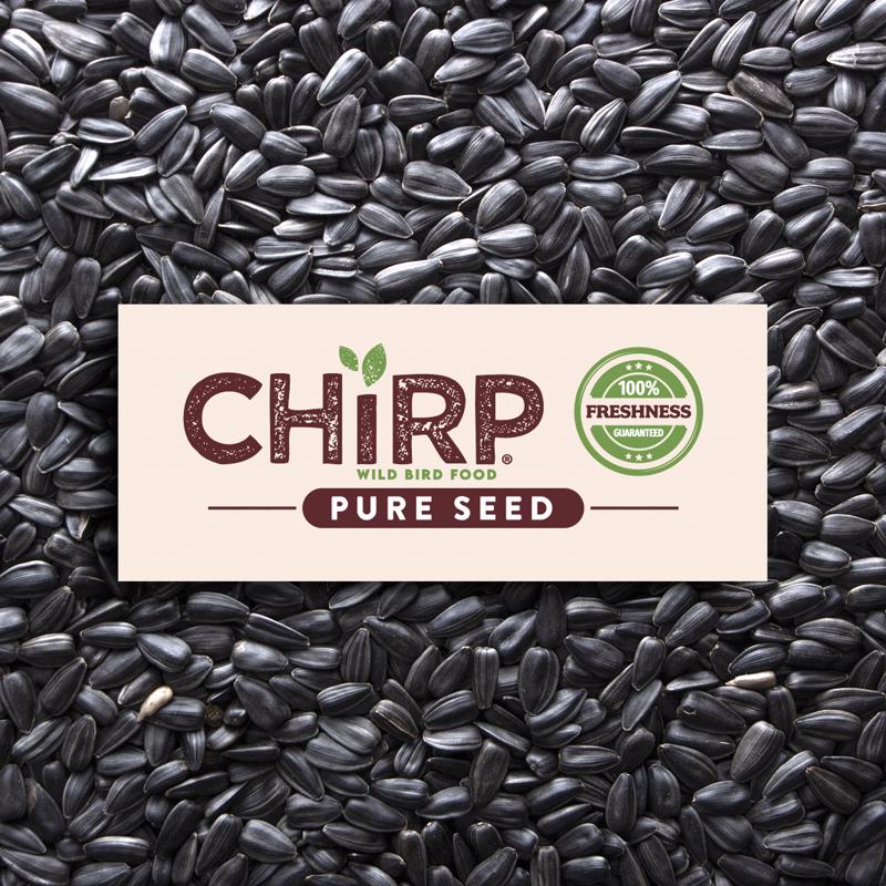 Chirp Black Oil Sunflower Wild Bird Food 20 lb