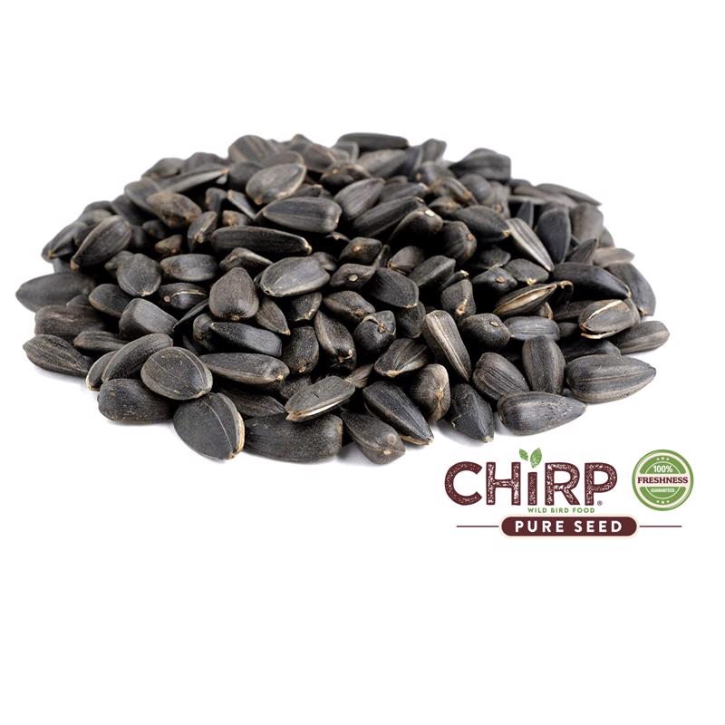 Chirp Black Oil Sunflower Wild Bird Food 5 lb
