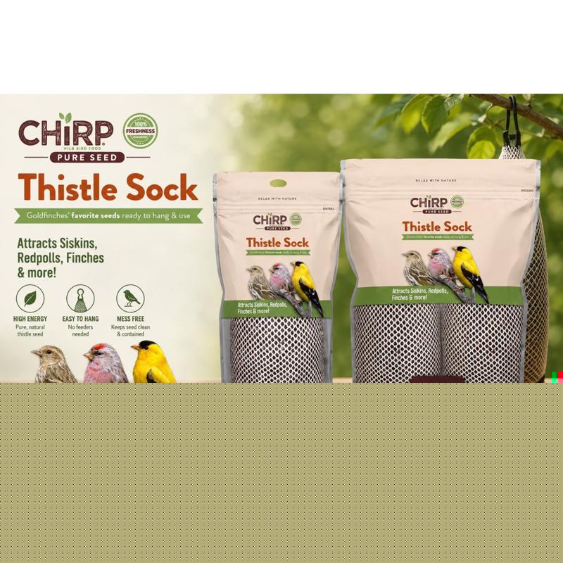 Chirp Pure Seed Thistle 2 Pack Thistle Sock Bird Food Feeder 13 oz