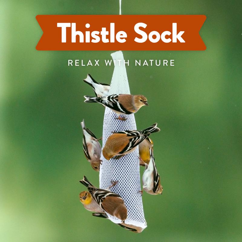Chirp Pure Seed Thistle 2 Pack Thistle Sock Bird Food Feeder 13 oz