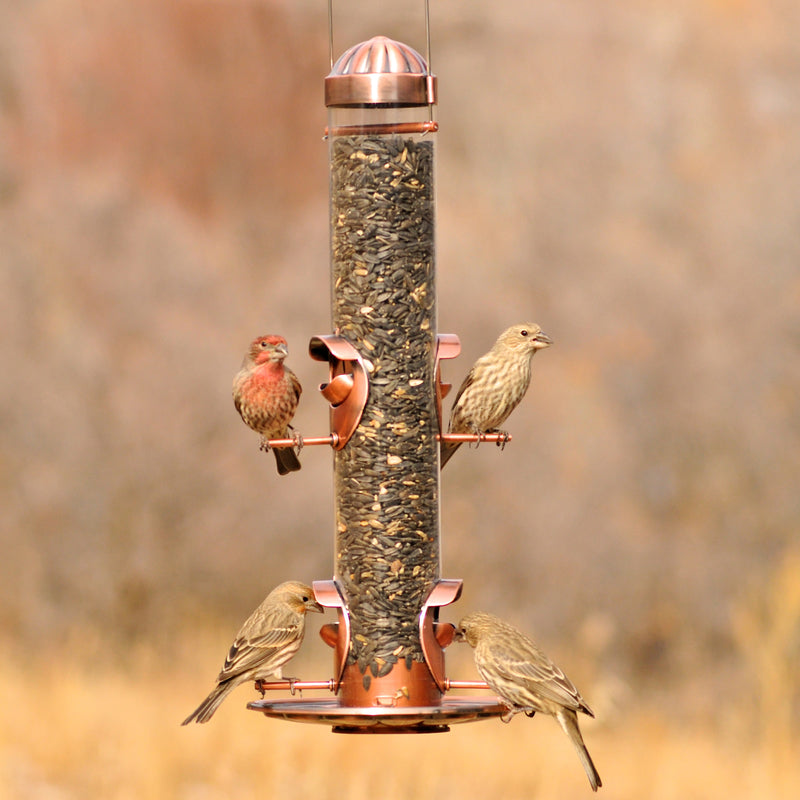 Perky-Pet Wild Bird and Finch 1.8 lb Copper 2-in-1 Bird Feeder 4 ports