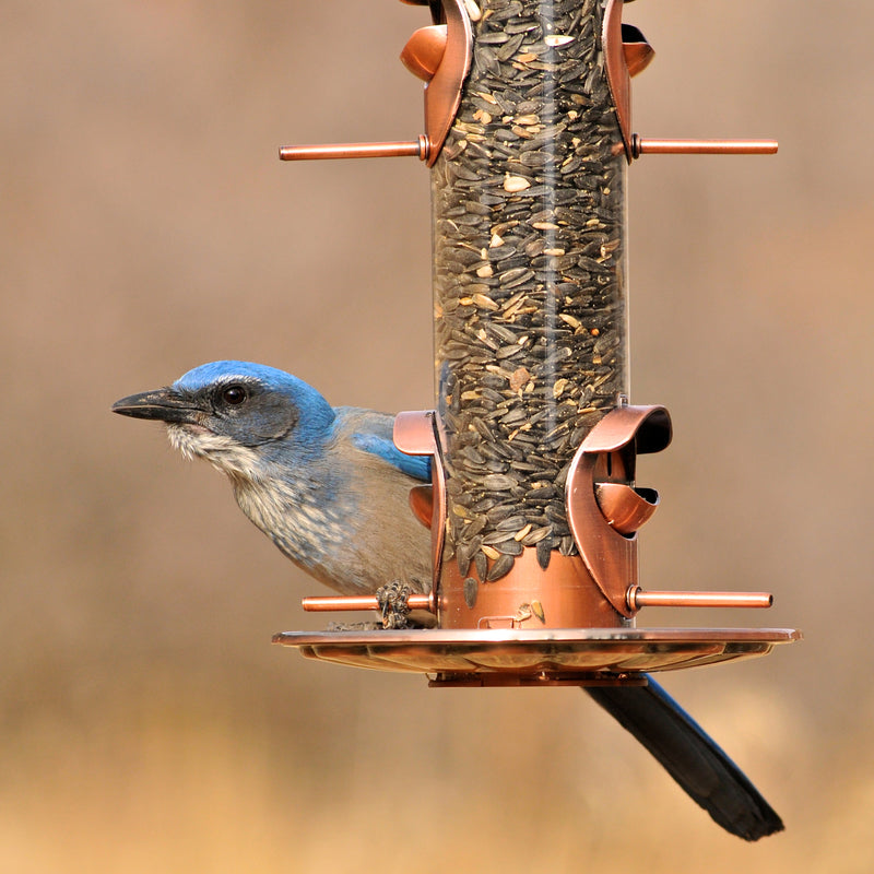 Perky-Pet Wild Bird and Finch 1.8 lb Copper 2-in-1 Bird Feeder 4 ports