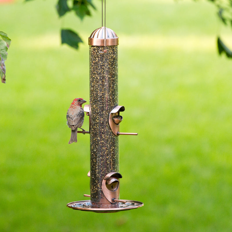 Perky-Pet Wild Bird and Finch 1.8 lb Copper 2-in-1 Bird Feeder 4 ports