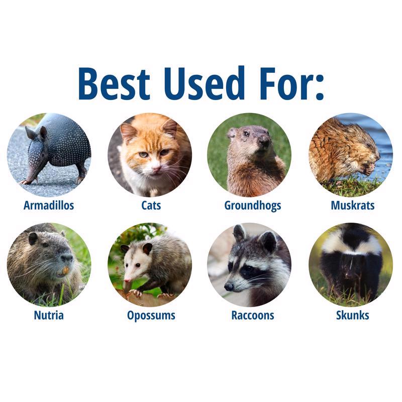 Havahart Large Live Catch Cage Trap For Cats and Raccoons