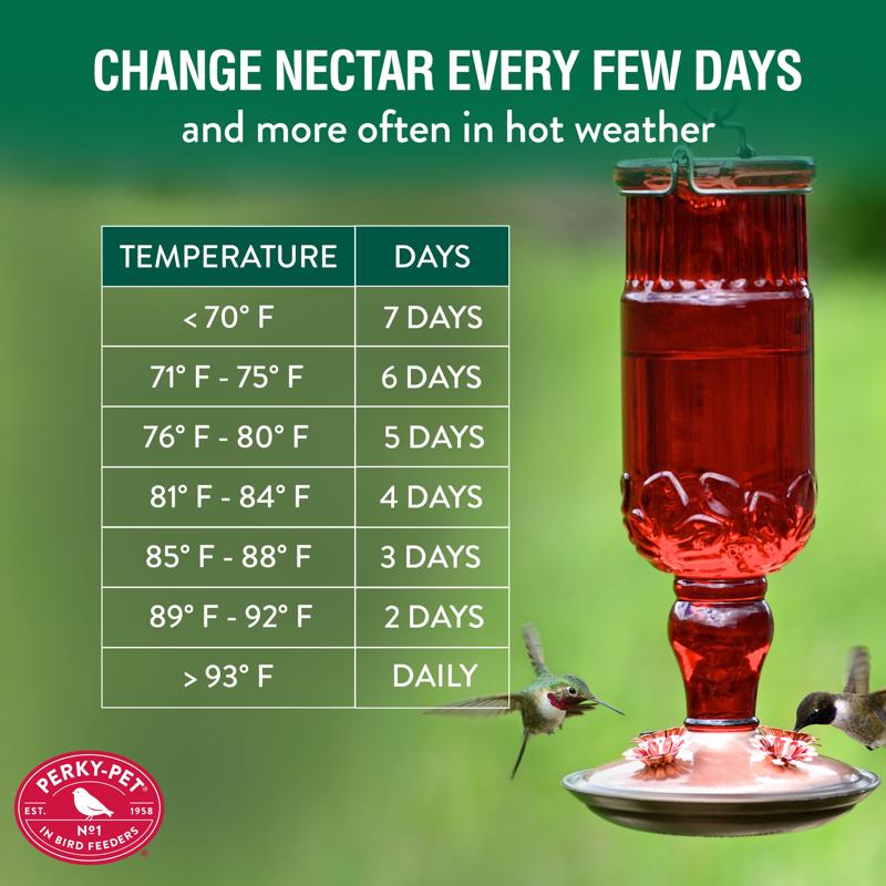 Perky-Pet Hummingbird 24 oz Copper/Glass Antique Bottle Nectar Bird Feeder 4 ports