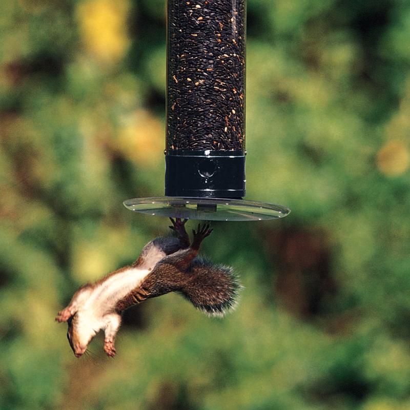 Droll Yankees Tipper Wild Bird 5 lb Polycarbonate Tube Bird Feeder 4 ports