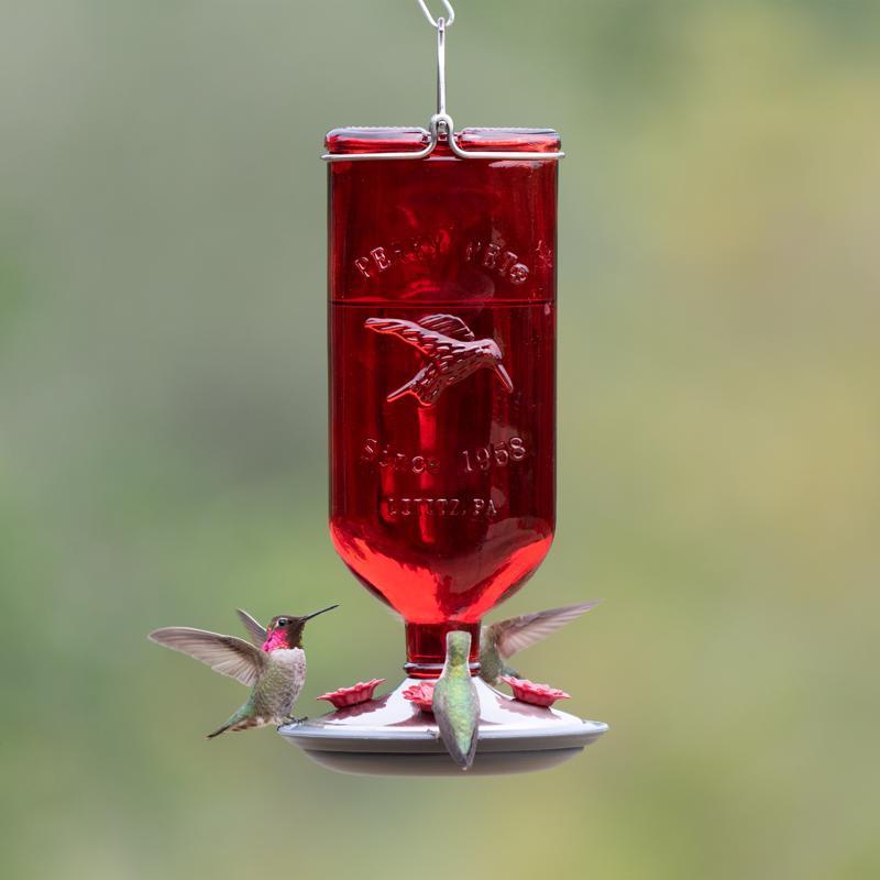 Perky-Pet Hummingbird 16 oz Glass/Metal/Plastic Antique Bottle Nectar Bird Feeder 4 ports