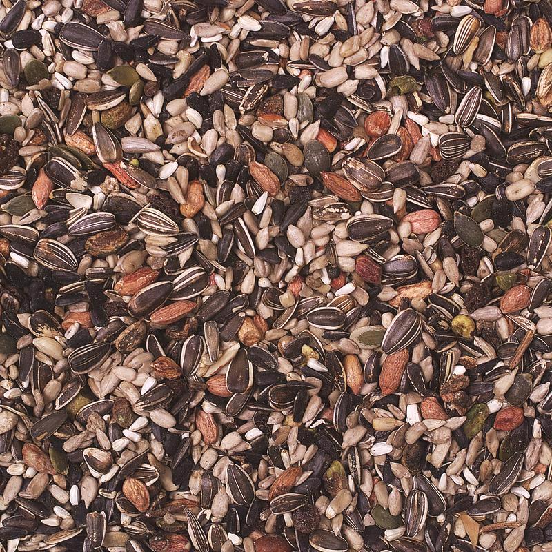 Wild Delight Nut N Berry Wild Bird Food 5 lb