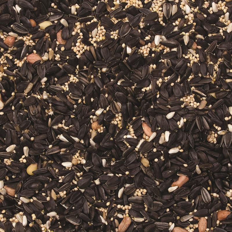 Wild Delight Gourmet Wild Bird Food 8 lb