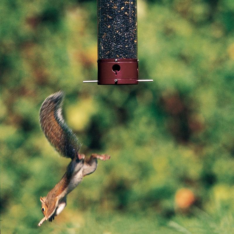 Droll Yankees Dipper Wild Bird 5 lb Polycarbonate Tube Bird Feeder 4 ports