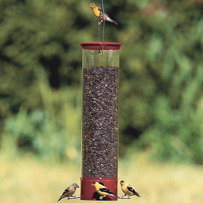 Droll Yankees Dipper Wild Bird 5 lb Polycarbonate Tube Bird Feeder 4 ports