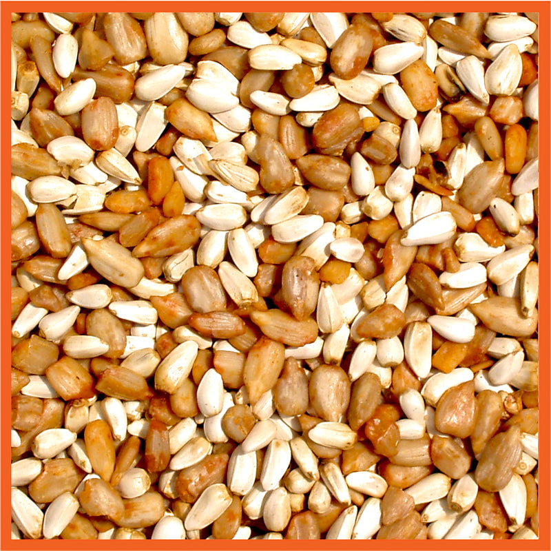 Cole's Cajun Cardinal Wild Bird Food 10 lb