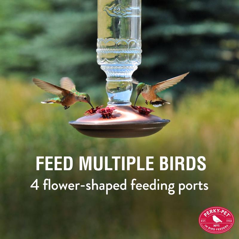 Perky-Pet Hummingbird 10 oz Glass/Metal Antique Bottle Nectar Bird Feeder 4 ports