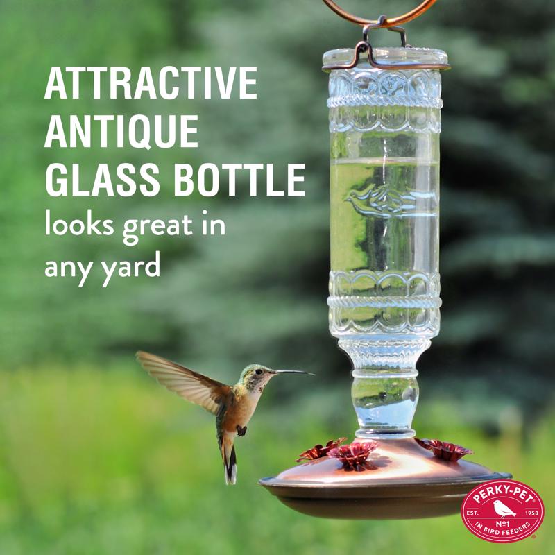 Perky-Pet Hummingbird 10 oz Glass/Metal Antique Bottle Nectar Bird Feeder 4 ports