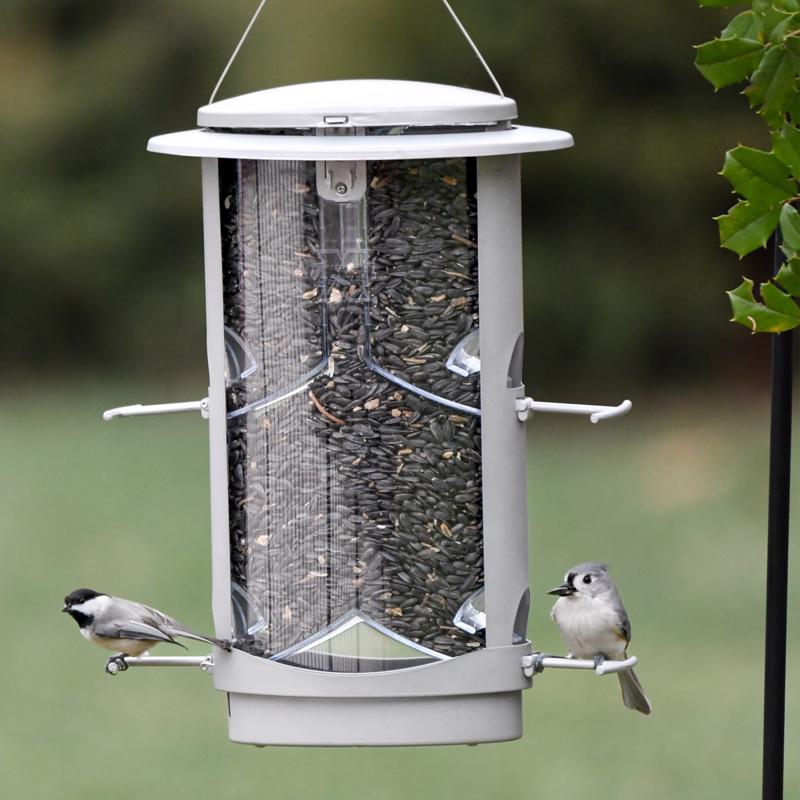 Squirrel-X Wild Bird 4.2 lb Metal/Plastic Tube Bird Feeder 4 ports