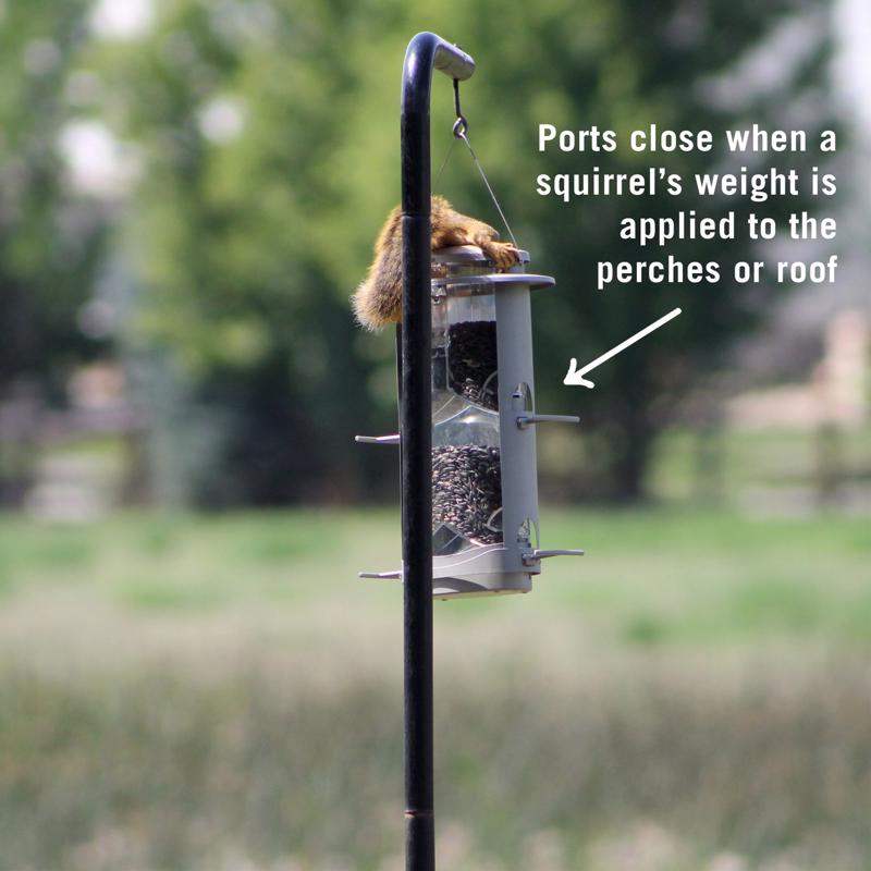 Squirrel-X Wild Bird 4.2 lb Metal/Plastic Tube Bird Feeder 4 ports