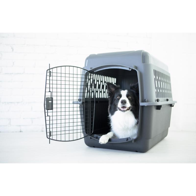 Aspen Pet Pet Porter Plastic Pet Kennel Gray 24 in. H X 22.5 in. W X 32 in. D