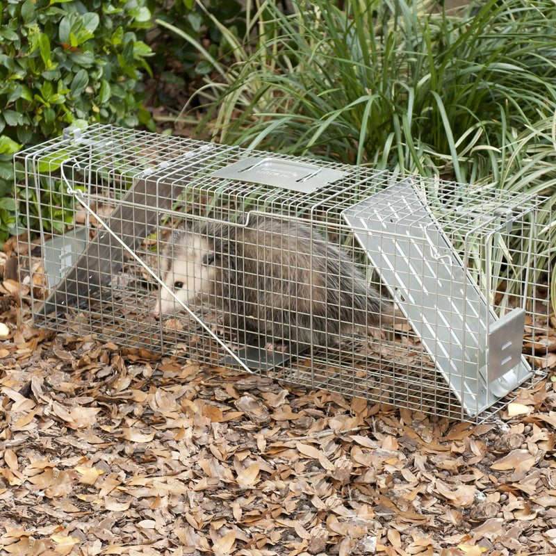 Havahart Large Live Catch Cage Trap For Raccoons