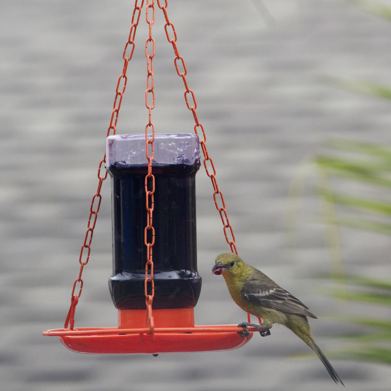 Perky-Pet Oriole 32 oz Metal/Plastic Jelly Feeder Nectar Bird Feeder 3 ports